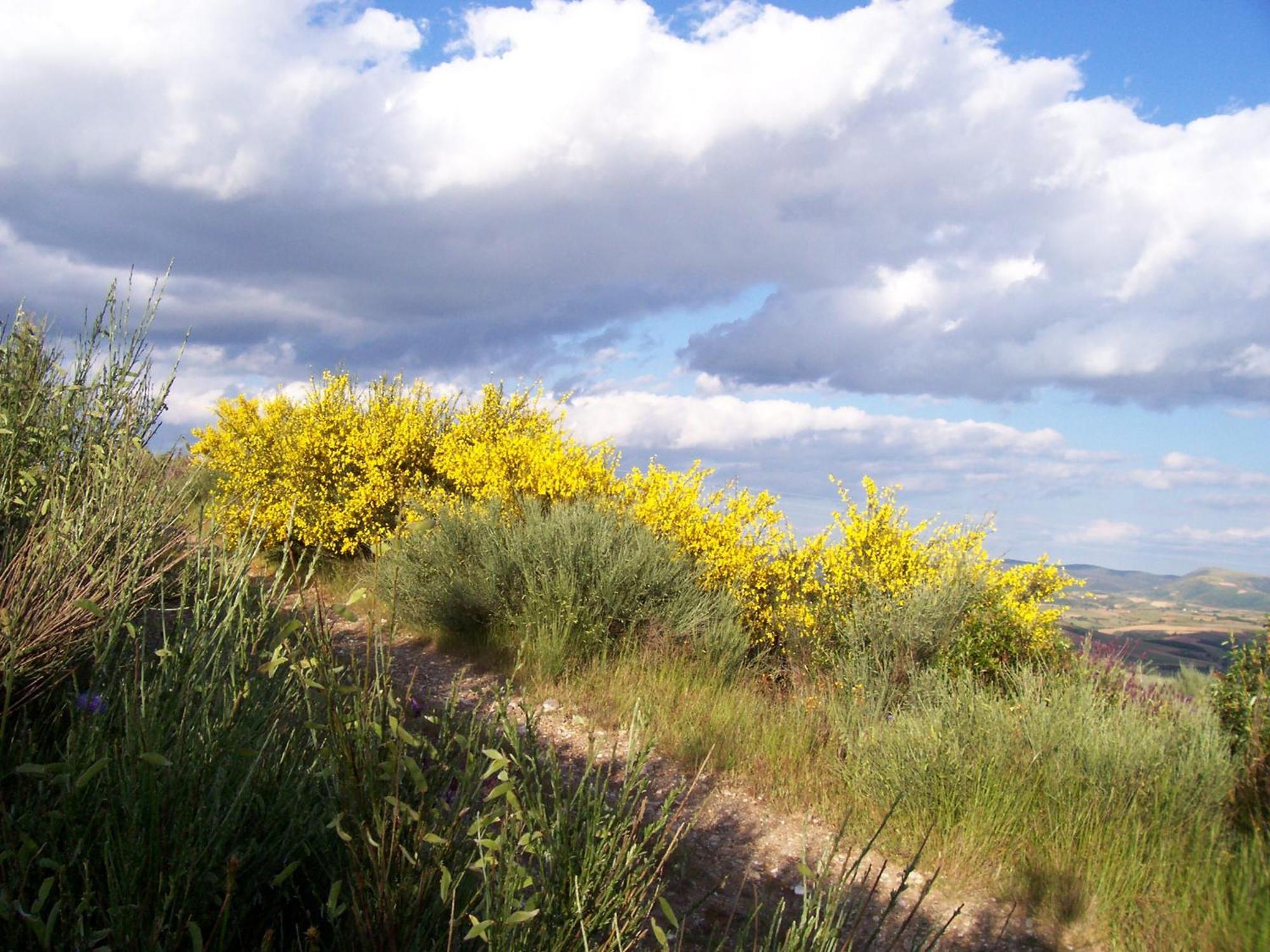 Farm stay Solar De Braganca