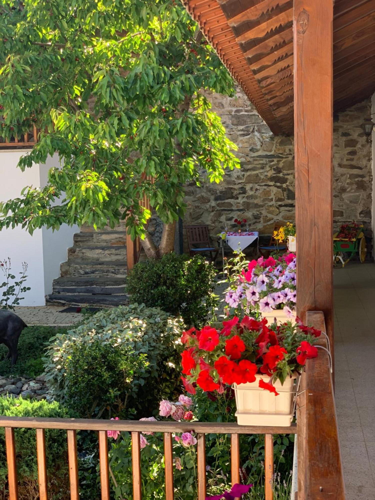 Farm stay Solar De Braganca