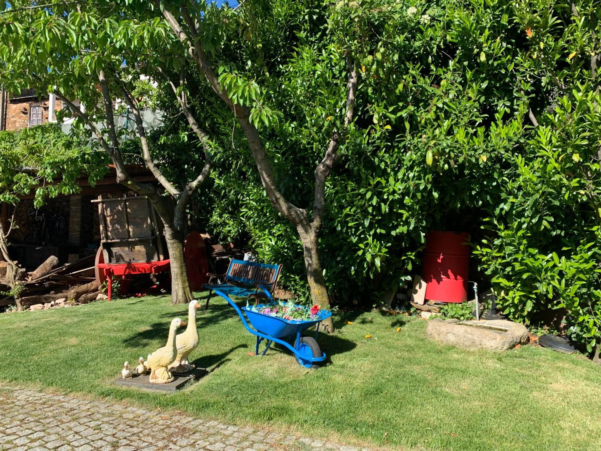 Farm stay Solar De *
